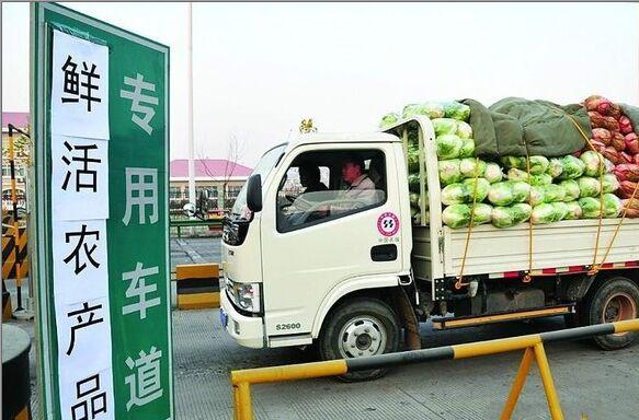 冒充绿通逃费露马脚，大货车“挂羊头卖狗肉”被识破